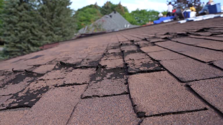 Best Rubber Roofing (EPDM, TPO)  in Hawaiian Paradise Park, HI